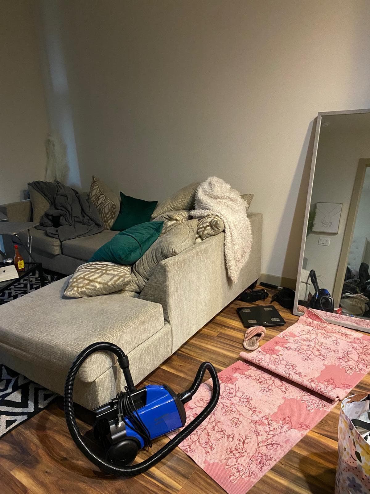 Houston home before professional cleaning, example 4